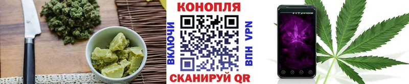 Cannafood конопля  Балабаново 