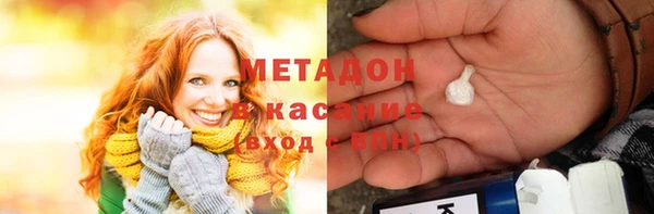 индика Алзамай