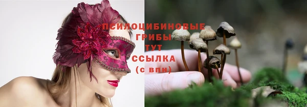 сатива Россошь