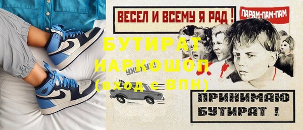 индика Алзамай