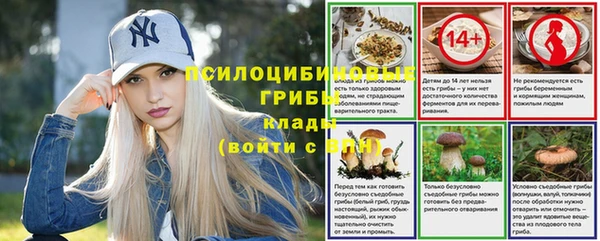 сатива Россошь