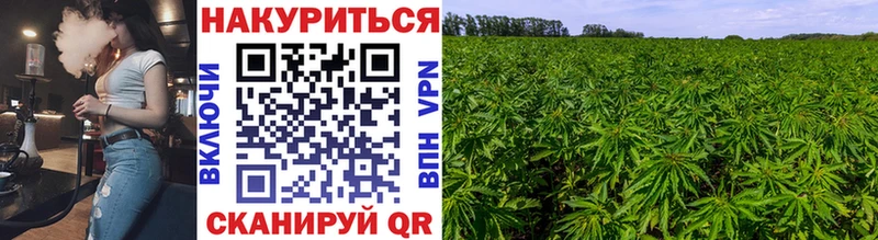 Бошки марихуана OG Kush  Балабаново 